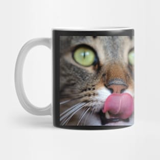 Cute Kitty Mug